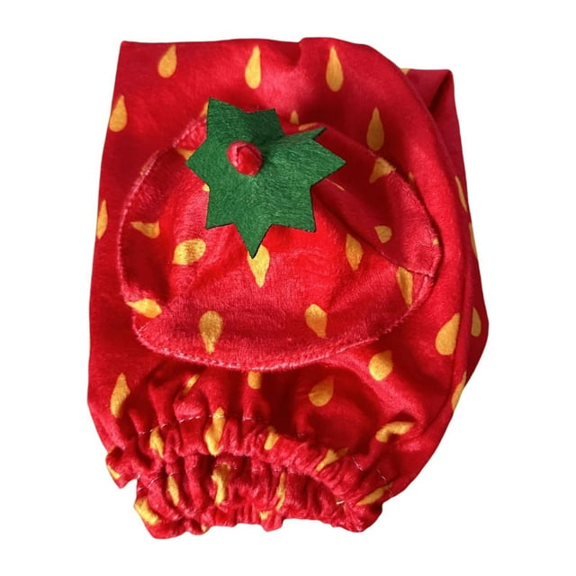 Ajuste de ganso conjunto de ropa de ganso balcón porche césped calmante regalo sala de estar patio patio estatua de vestuario sombrero y falda Patrón de fresa