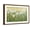 Brown Frame, variant on Art.com Daisy Spring II Art Print by Tim OToole, 18" x 12"