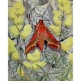 thumbnail image 2 of Paul-Andre Robert 15x18 Gold Ornate Wood Frame and Double Matted Museum Art Print Titled - Le Petit-Pourceau (1934), 2 of 4