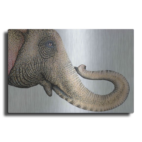 Luxe Metal Art 'Spotted Asian Elephant 2' by Michelle Faber, Metal Wall Art, 24"x16"