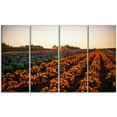 thumbnail image 2 of Belle Ferme de Fleurs Japonaise - Impression sur Toile Florale, 2 of 3