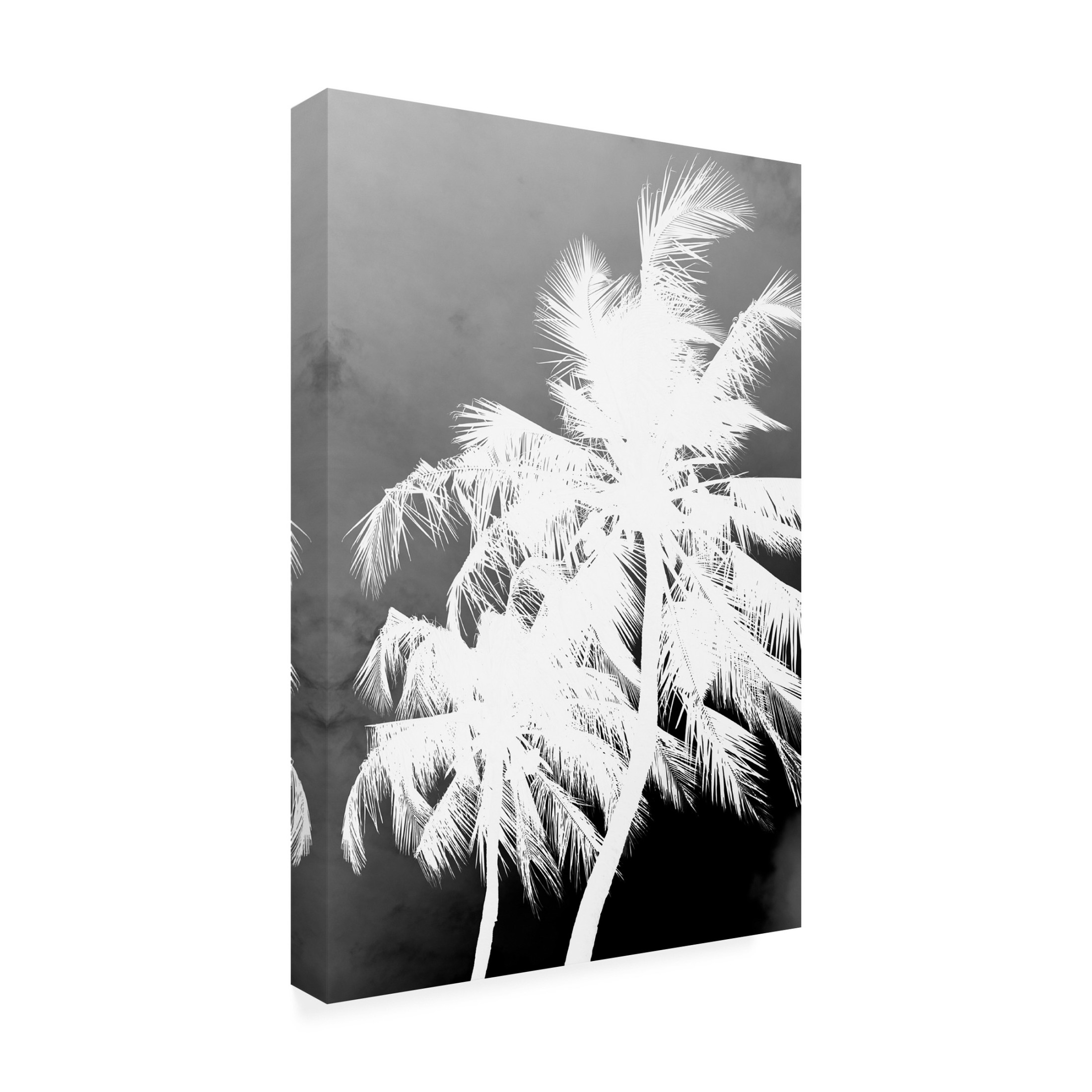Trademark Fine Art Shot by Clint Coco Island No1 Canvas Wall Art