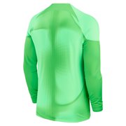Men's Nike Green Paris Saint-Germain 2022/23 Home Replica Long Sleeve Blank Jersey