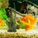 thumbnail image 4 of Plantas de acuario, modelo de raíz de árbol, decoraciones para peceras, paisajismo para acuarios, decoración de peceras, 4 of 5