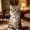 Light Purple, variant on Outdor Reflective Cat Collar With Breakaway Buckle For Outdoor Use Adjustable Soft Nylon Necklace Lost Escape Proof