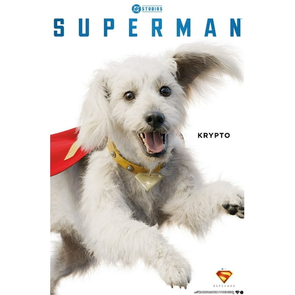 DC Studios Superman (2025) - Krypto Feature Series Wall Poster, 22.375" x 34"