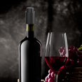 thumbnail image 4 of vacío Tapón Almacenamiento Fresco Guardar vino Más Reutilizable Herramientas de barra sellada Ahorrador de botellas para cocina Escala de tiempo de ABS perfecl Tapon de vino, 4 of 7