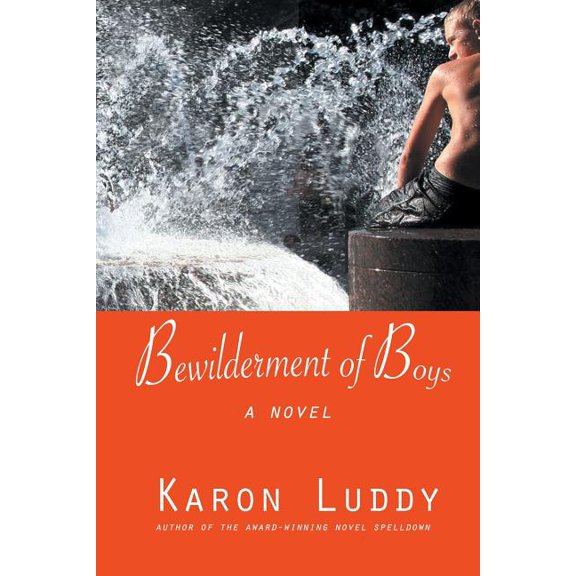Bewilderment of Boys (Paperback)