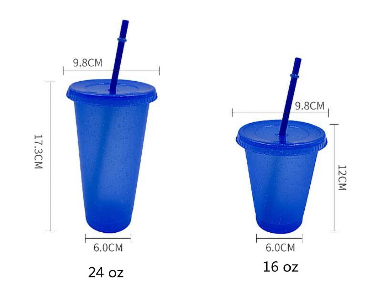 16 OZ Glitter Plastic Cups w/ Lids and Straws - RAY558