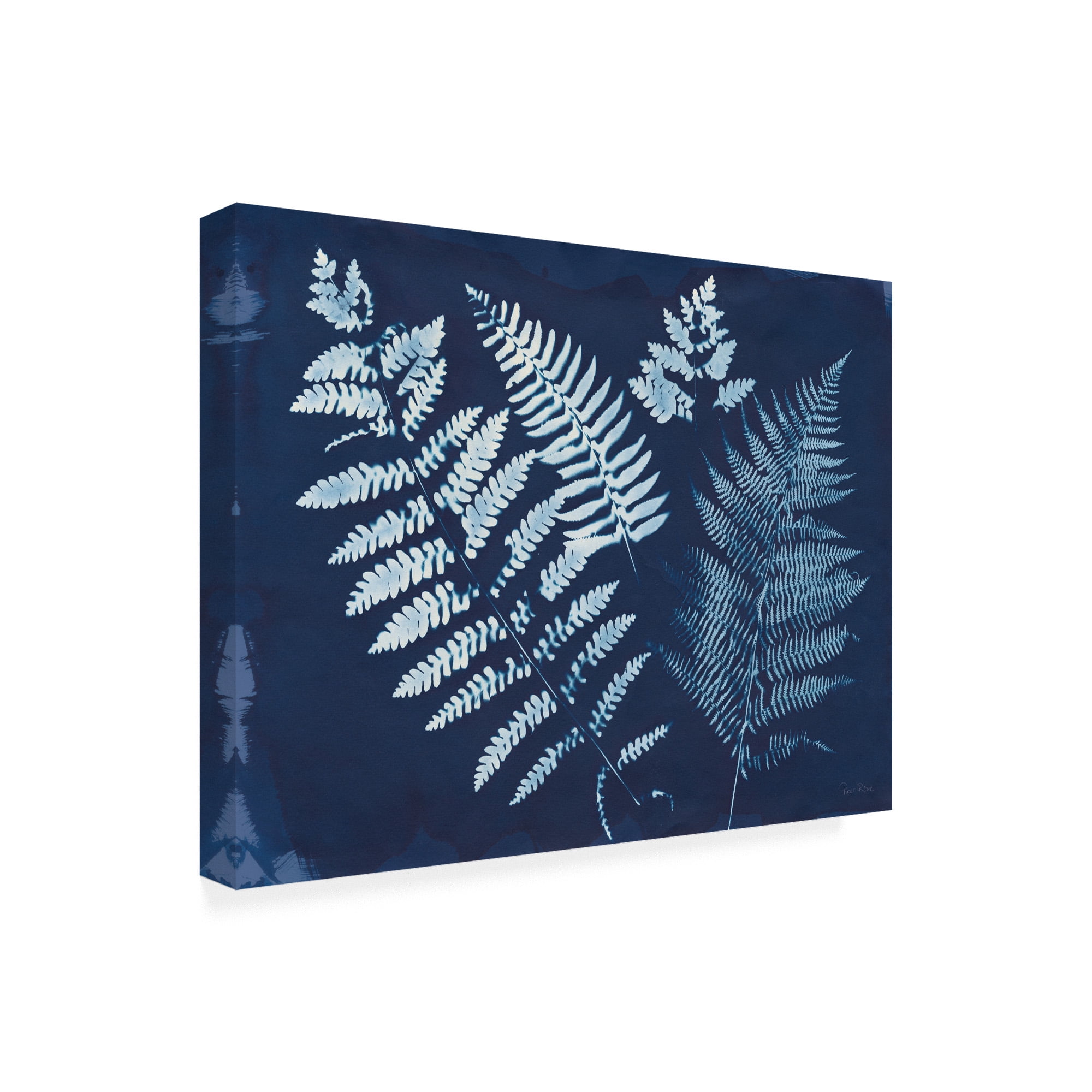 Trademark Fine Art 'Nature By The Lake - Ferns II' Canvas Art by Piper Rhue