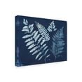 thumbnail image 2 of Trademark Fine Art 'Nature By The Lake - Ferns II' Canvas Art by Piper Rhue, 2 of 3
