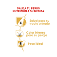 thumbnail image 2 of Alimento para perro Royal Canin Miniature Schnauzer de 4.5Kg Royal Canin Schnauzer, 2 of 3