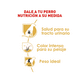 thumbnail image 2 of Alimento para perro Royal Canin Miniature Schnauzer de 4.5Kg Royal Canin Schnauzer, 2 of 3