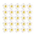 thumbnail image 1 of Lote de 25 horquillas de Frangipani para el pelo, accesorio para novia, de imitación, para mujer (7 cm, incluye pinza negra), 1 of 5