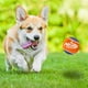 thumbnail image 4 of Pelota de Tenis de Goma para Perro Nerf Dog que Chilla, Duradera, 2.5 cm, Paquete de 2, 4 of 6