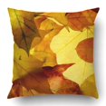 thumbnail image 1 of BOSDECO Taie d'Oreiller Feuilles Colorées d'Automne Housse de Coussin 18x18 Pouces, 1 of 1