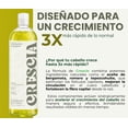 thumbnail image 3 of Shampoo Crescia 990ml. | Crecimiento Capilar con Romero y Biotina, 3 of 11