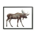 thumbnail image 5 of Stupell Industries Big Antler Moose Watercolor Painting Kids' Wild Animal Black Framed Art Print Wall Art, 30x24, by Fox Hollow Studios, 5 of 5