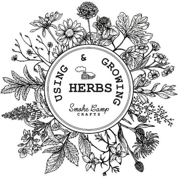 Lettuce Mix Seeds (Latuca sativa) 200 Seeds (0.2 grams)