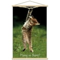 thumbnail image 1 of Célèbre chaton accroché là-bas Poster, 1 of 5