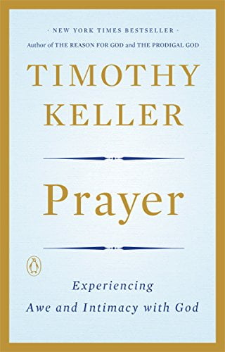 Pre-Owned Prayer : Experiencing Awe and Intimacy with God (Paperback) 9780143108580