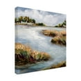 thumbnail image 4 of Canvas Wall Art - Karen Hale 'Can You Hear The Bird Song I' Wall Art for Living Room, Bedroom, or Office Décor by Trademark Fine Art - 18 x 18 Inches, 4 of 4
