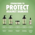 thumbnail image 6 of Mielle Rosemary Mint Light Scalp & Hair Strengthening Oil - 2 fl. oz., 6 of 10