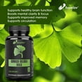 thumbnail image 4 of Max Strength Ginko Biloba Extract Supplements - Promotes Memory, Focus, and Brain Health - 120 Capsules, 4 of 7