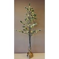 thumbnail image 3 of Sapin de Noël, 3 of 6