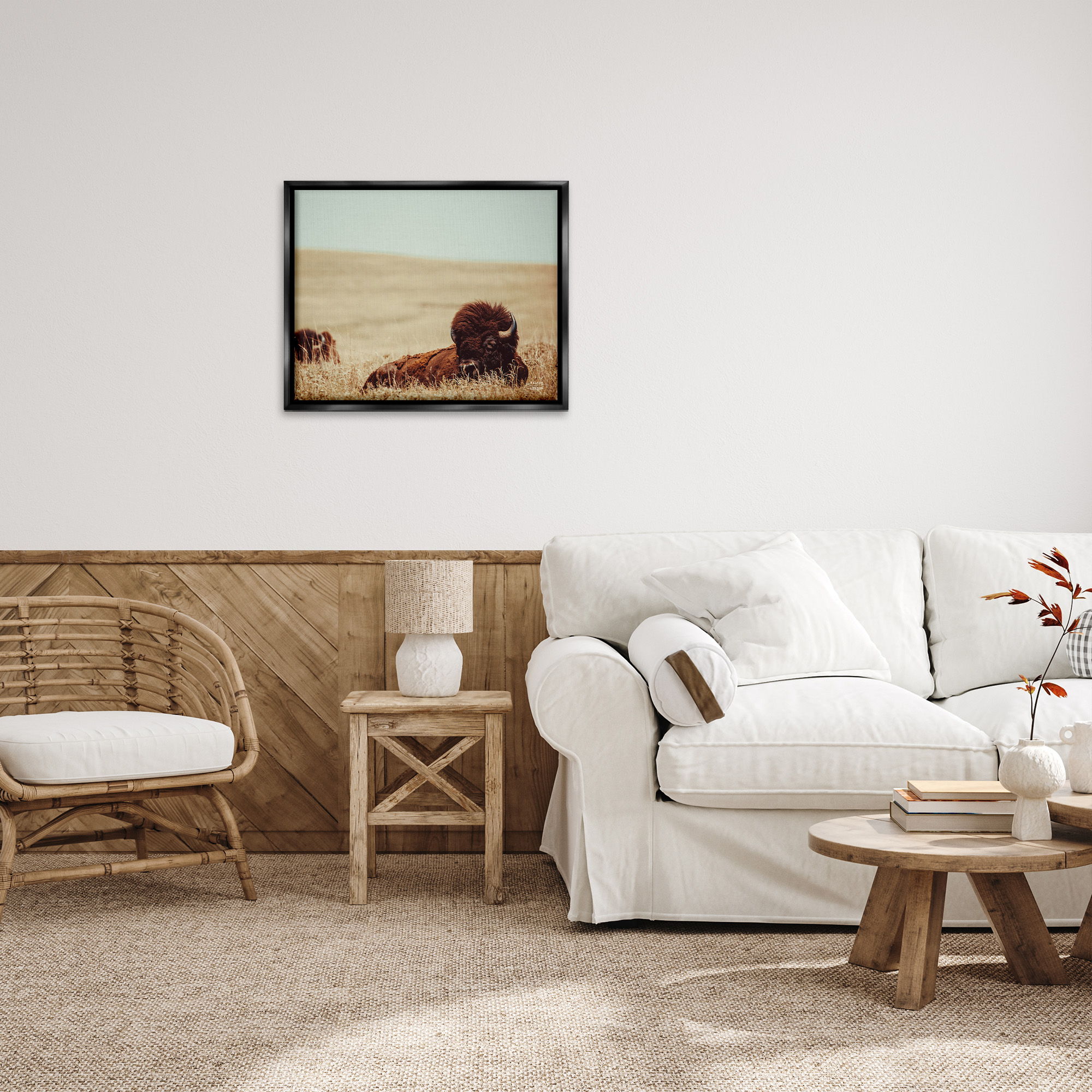 Stupell Industries Bison Relaxing in Field Animals & Insects Photography Black Floater Framed Canvas Art Print Wall Art, 31 x 25