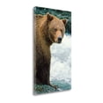 thumbnail image 1 of Tangletown Art, 37 x 22 "Melody " by Gary Crandall, Gallery Wrap Canvas Art prin, 1 of 2