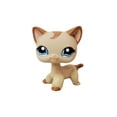 thumbnail image 3 of Authentic Littlest Pet Shop Shorthair #1024 Caramel Swirl Blue Eyes LPS New, 3 of 3