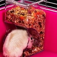 thumbnail image 4 of Hamster Food Feeder Clear Refillable Hamster Food Dispenser Hamster Water Feeder, 4 of 10