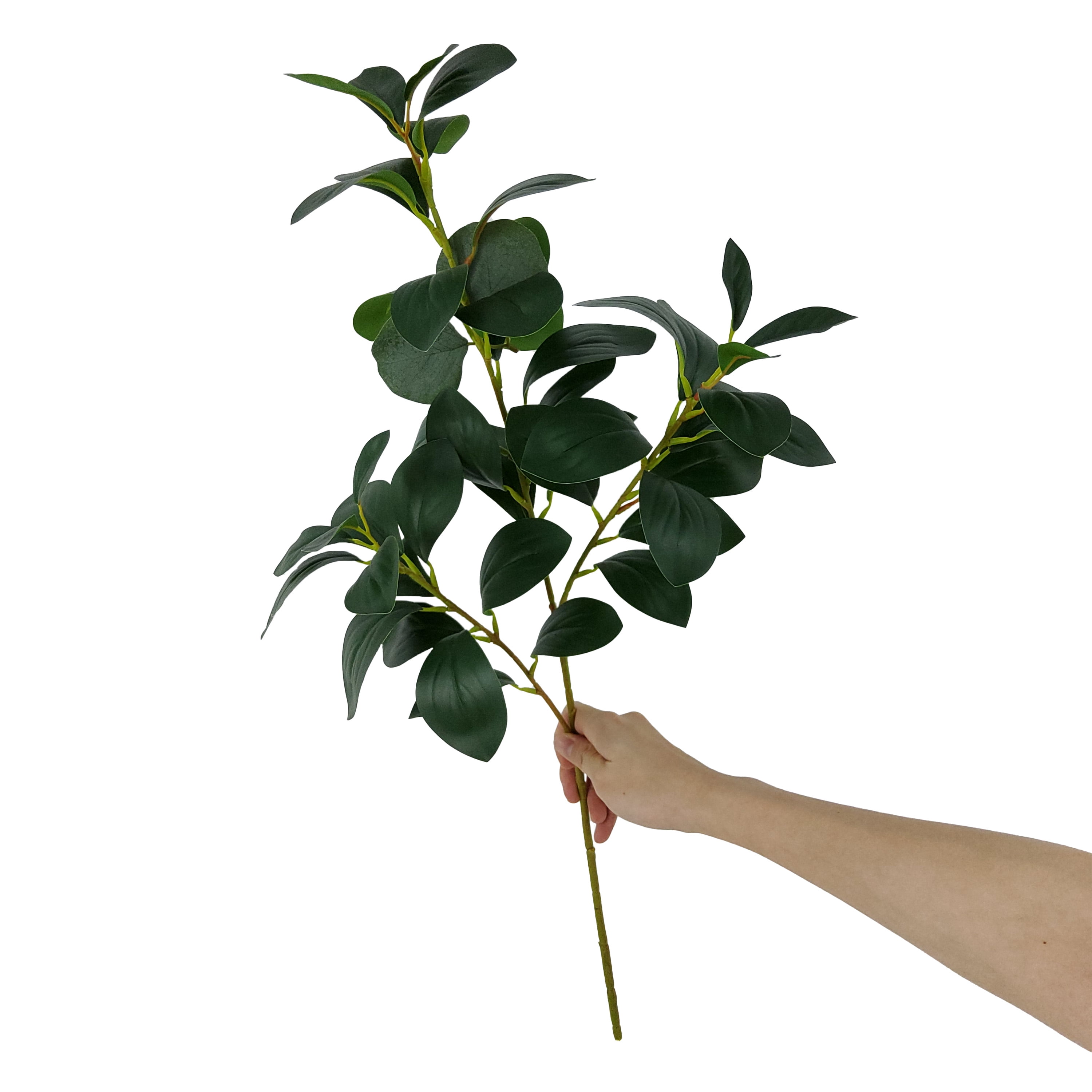 (2 pack) Mainstays 25.5" Indoor Artificial Foliage Stem, Peperomia, Green Color. Not in Pot.
