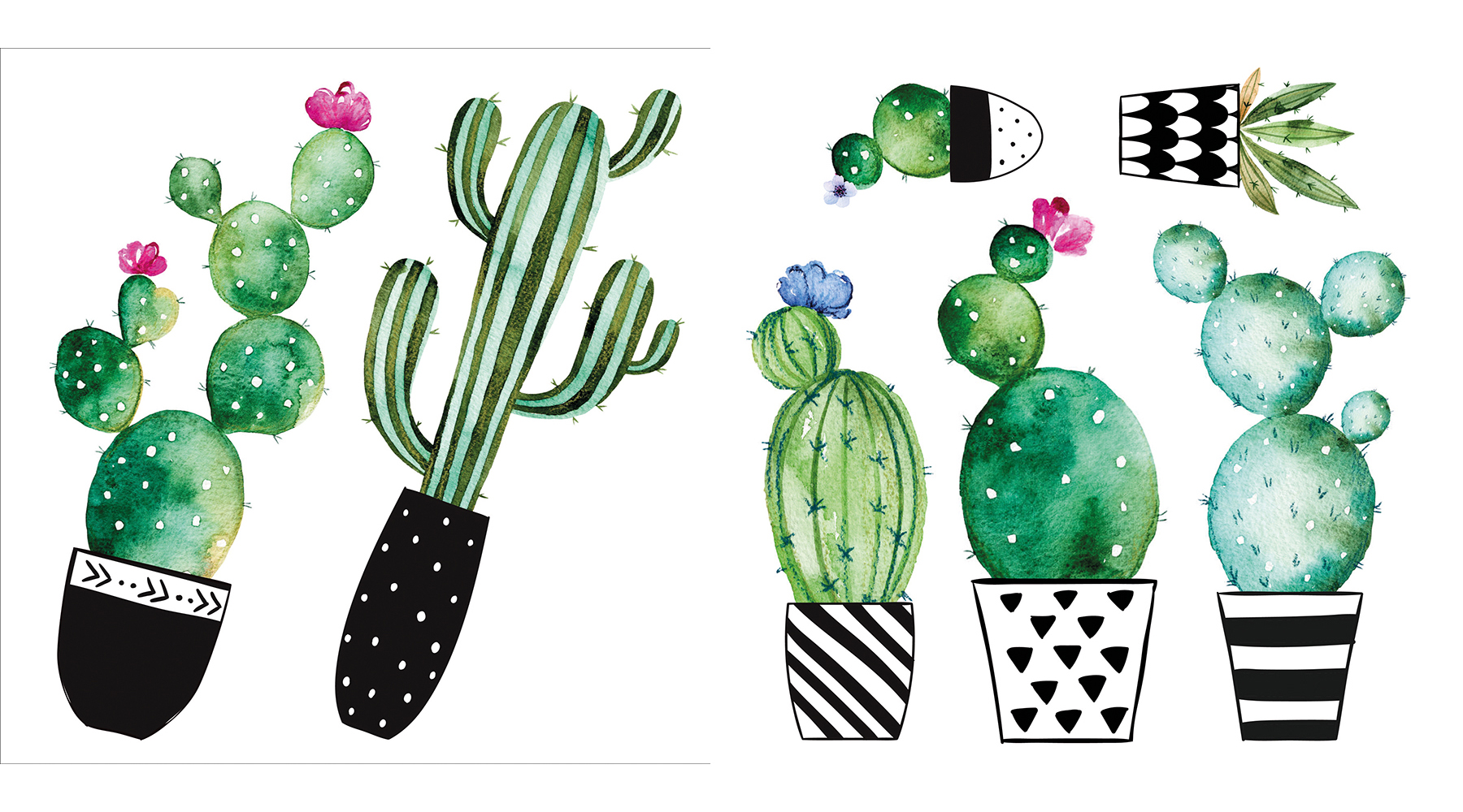 Crearreda Watercolor Cactus Wall Decals Set of 8