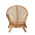 thumbnail image 4 of bali & pari Lisabon Bohemian Light Honey Rattan Arm Chair, 4 of 6