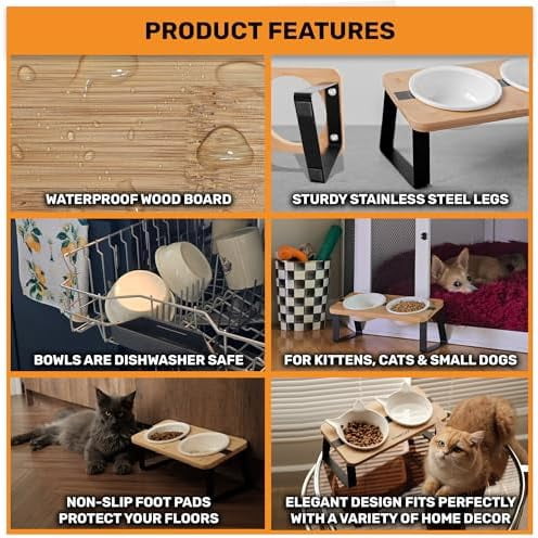 Elevated Cat Bowl Stand for Food and Water – Anti-Vomit Raised Feeding Station with Tilted Stand – Removable Round Ceramic Bowls, Anti Slip Bamboo Base, Dishes for Cats, Kitten, Small Dogs & Puppies