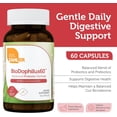thumbnail image 3 of Zahler BioDophilus60, Advanced Probiotic Formula, 60 Billion CFU, 60 Capsules, Probiotic, Probiotics, Probiotic Supplement, 3 of 6