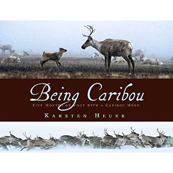 Pre-Owned Being Caribou: Five Months on Foot with a Caribou Herd (Hardcover) 080279565X 9780802795656
