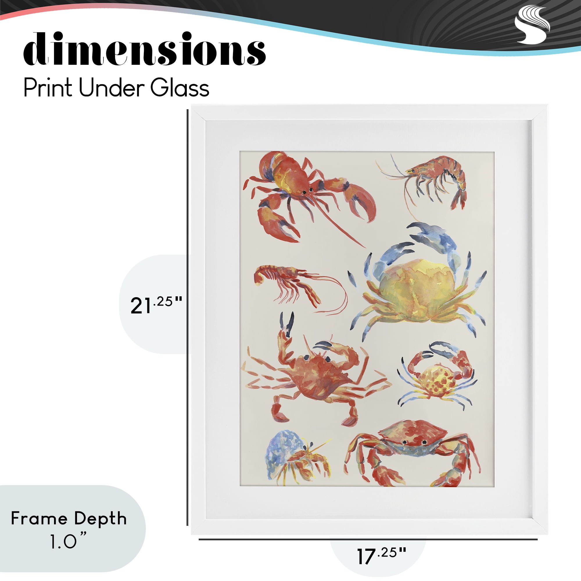 Stupell Industries Crab & Crustacean Collection White Framed Print Under Glass, design by June Erica Vess