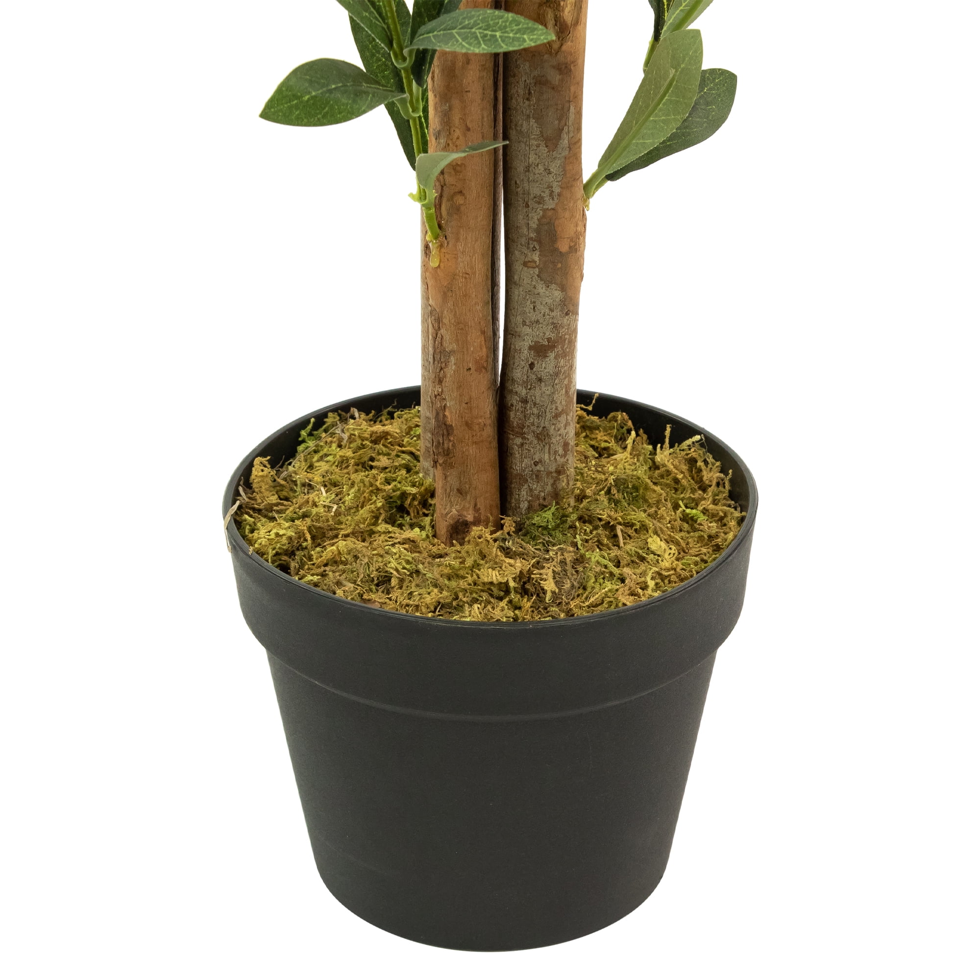 40" Potted Brown and Green Artificial Olive Tree with Foliage