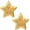 Gold-2, variant on Greenidea 4 Pcs Christmas Star Ornaments for Christmas Decorations,Star Ornaments for Christmas Tree Decorations, Hanging Resin Star Christmas Ornaments