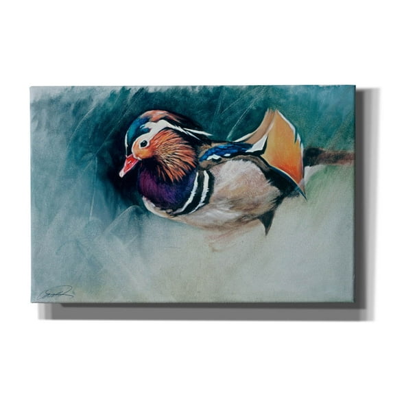 Epic Graffiti 'Mandarin Duck Soup' by Robert Campbell, Canvas Wall Art, 18"x12"