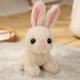 thumbnail image 1 of 20-40cm Hot Sale New Stuffed Soft Simulation Rabbit Plush Toys High Quality Cute Anime Doll For Girl Child Kid Surprise Giftlight brown40cm Deng Xun unisex, 1 of 2