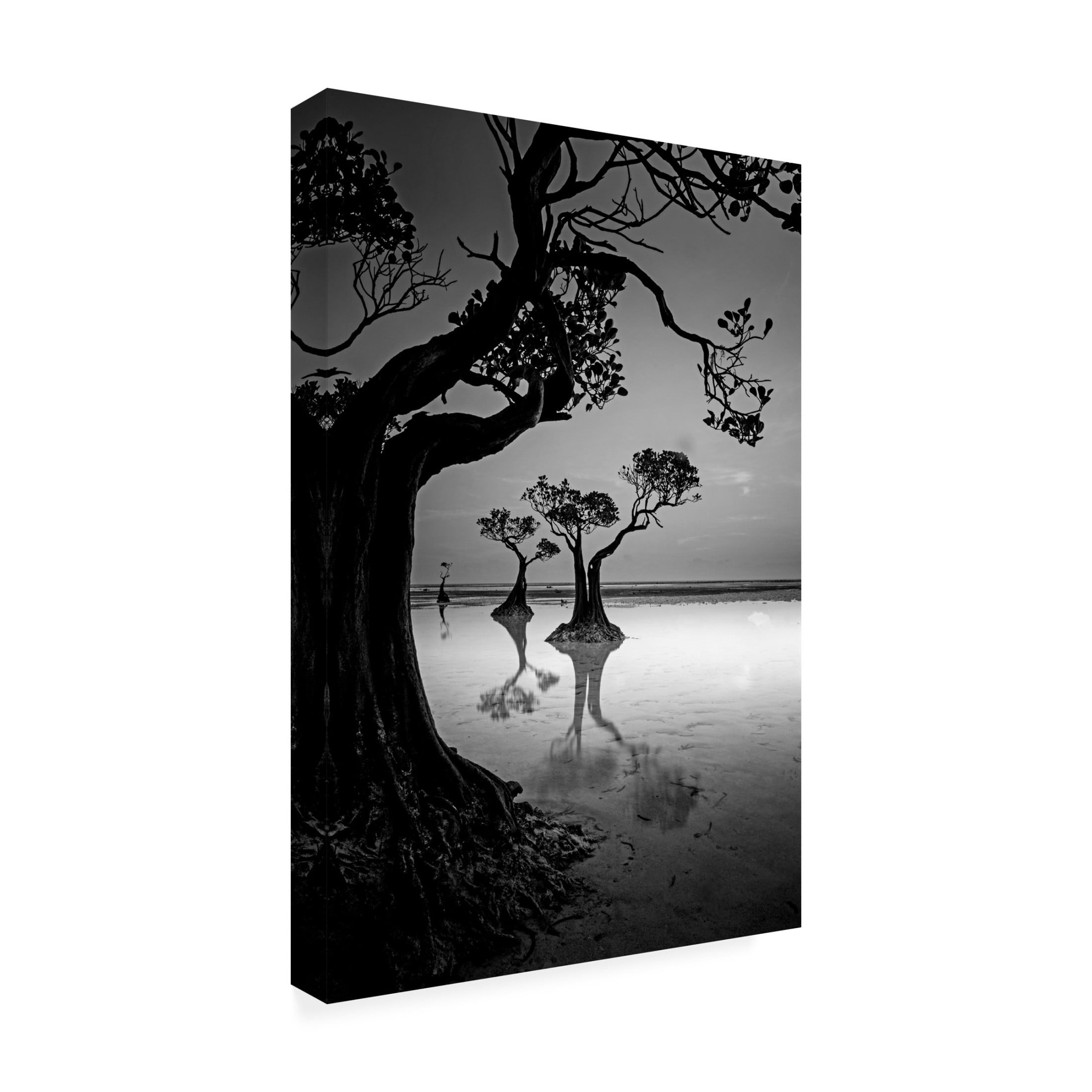 Canvas Wall Art - Angela Muliani Hartojo 'Framing' Wall Art for Living Room, Bedroom, or Office Décor by Trademark Fine Art - 22 x 32 Inches