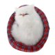 thumbnail image 4 of Juguetes de peluche Gato Durmiente Gato Relleno Peluche Mascota Suena de Sonido Decoración para hogar , E Magideal Juguetes de peluche, 4 of 7