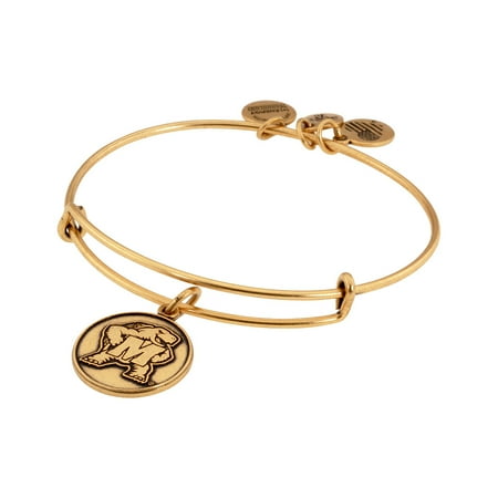 Alex And Ani University of Maryland Logo Charm Bangle Bracelet AS15CLC06RG
