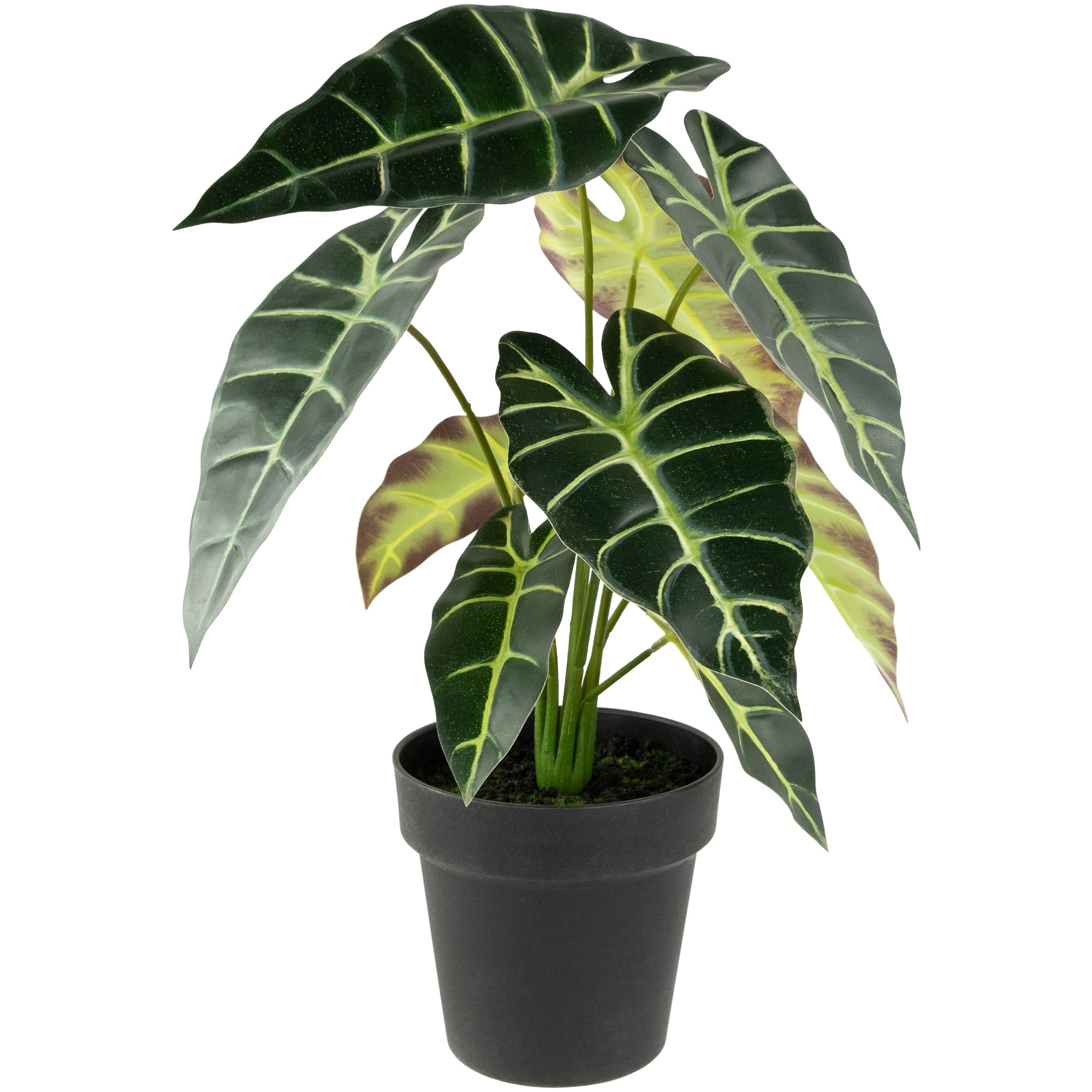 Northlight Real Touch™ Artificial Taro Plant in Black Pot 18"