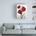 thumbnail image 3 of Tim O Toole 'Red Poppy Fresco I' Canvas Art, 3 of 3