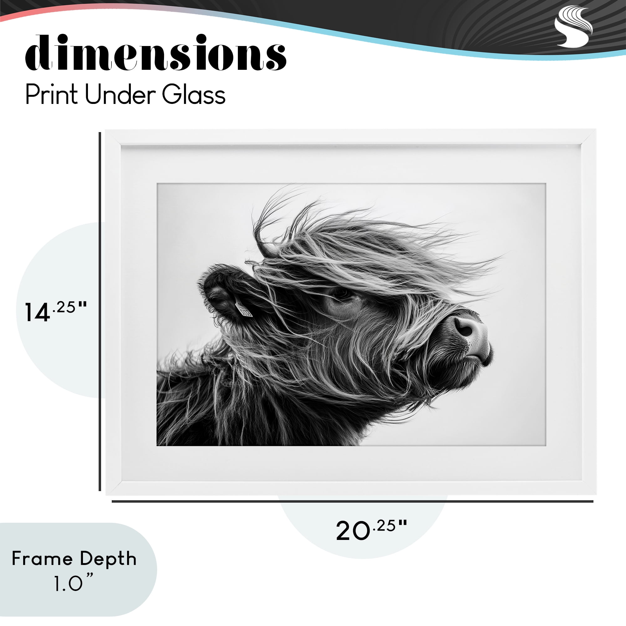 Stupell Industries Handsome Highland Portrait White Framed Print Under Glass, design by Tina LeCour